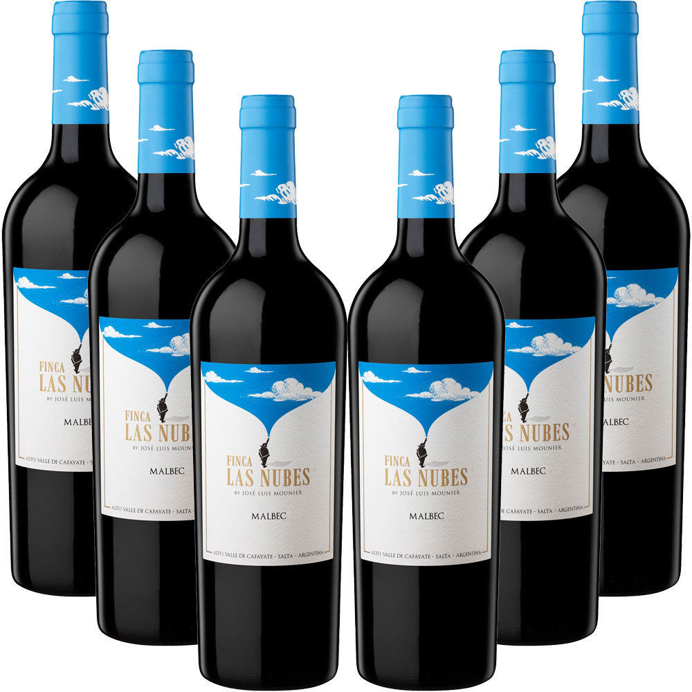 Kit 6 Vinho Tinto Malbec Finca Las Nubes Argentino 750ml