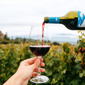 Kit 6  Vinho Tinto Malbec Finca Las Nubes Argentino 750ml